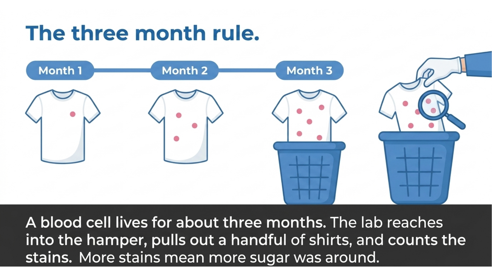 Timeline showing white T-shirts collecting more pink stains across Month 1, Month 2 and Month 3, with a hand pulling one from a laundry hamper under a magnifying glass, illustrating how the A1C test samples red blood cells to estimate blood sugar.